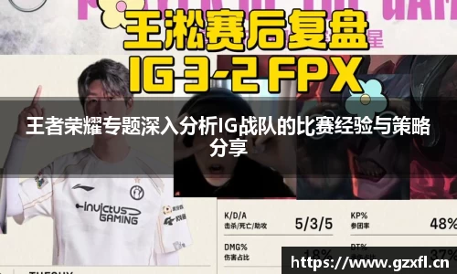 王者荣耀专题深入分析IG战队的比赛经验与策略分享