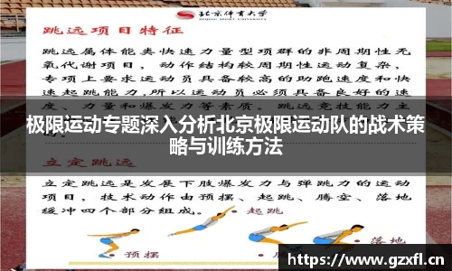 28圈体育